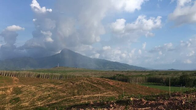 FHD Time Lapse, Moving cloud with Rubber plantation farming area in the south of Thailand, Latex rubber, Para rubber tree garden