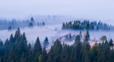 Crédence de cuisine en verre imprimé Forêt dans le brouillard Paysage des monts Apuseni