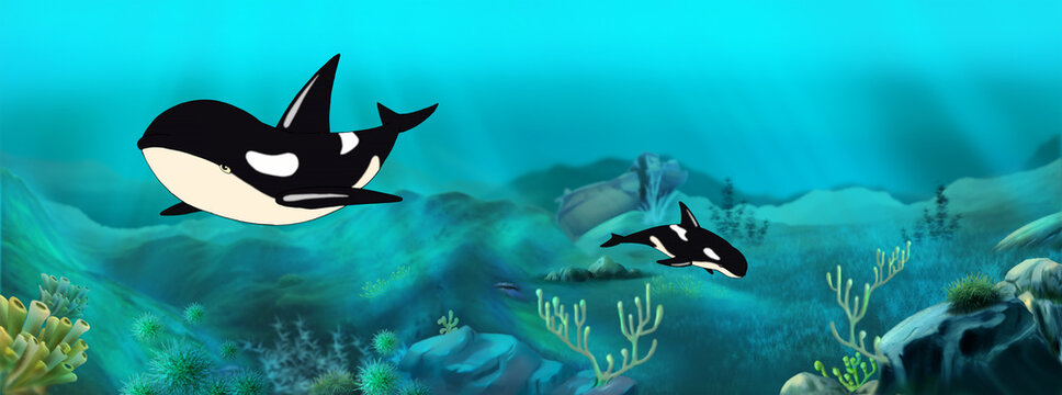 Whale underwater illustration