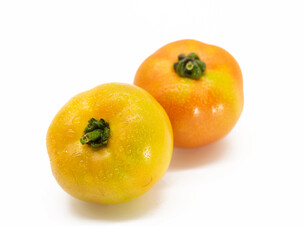 two ripe tomato on white background.