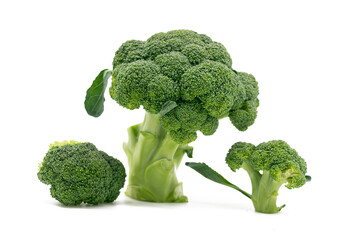 Broccoli pieces isolated on white background. Creative layout made of broccoli. Food concept.