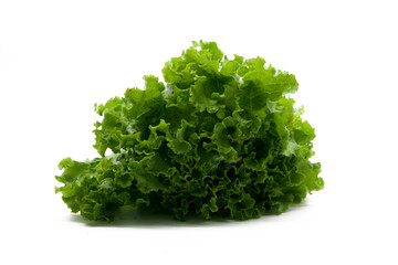 Obraz premium Fresh and green lettuce on white background, food concept