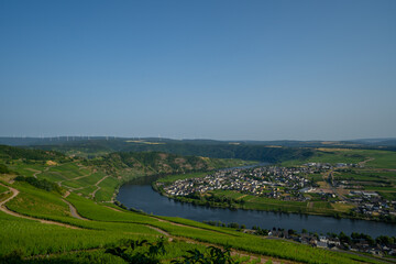 Piesport Rheinland-Pfalz Mosel Moselschleife Bremmer Calmont
