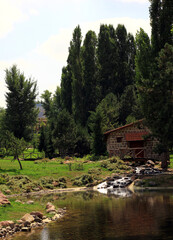 house in the forest