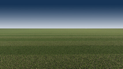 Green grasses field background for soccer , footbal