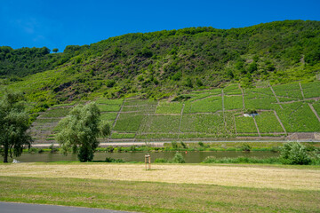 Cochem Rheinland-Pfalz Cochem-Zell Mosel Weinhänge Reichsburg Cochem Enderttor Pinnerkreutz Martinstor Fachwerk Umgebinde Deutschland