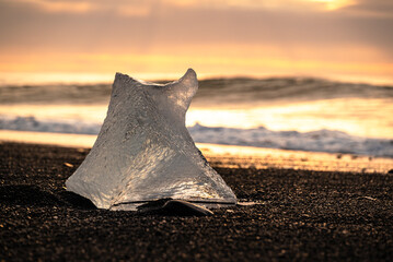 Magical close-up of a backlit iceberg stranded on the black sand of Brei&eth;amerkursandur or Diamond Beach at dusk, Iceland, Vatnaj&ouml;kull National Park