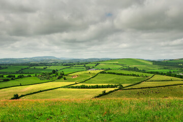 Agricultural land in county Tipperary, Ireland. Irish rural landscape. Green grass fields with cows on a hills. Cloudy sky. Agriculture and food supply industry. Country side with meadows.