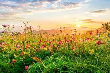 picturesque highland landscape with amazing view from hill with golden grass and green bushes