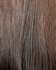 Background of the hairline.Texture of dark brown hair combed.