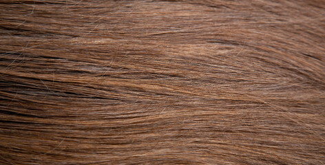 Background. The texture of dark brown hair.