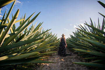 Mujer en campos de agave espadín en Oaxaca México