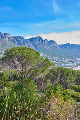 Copy space with the Twelve Apostles at Table Mountain in Cape Town against a blue sky background. Amazing view of plants and trees growing around a majestic rocky valley and scenic city in nature
