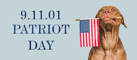 Patriot Day. We will never forget. Adorable puppy and American Flag. Close-up, isolated background....