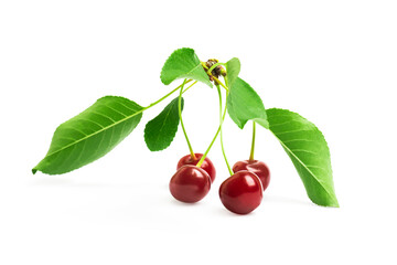 Ripe red cherry isolated on white background