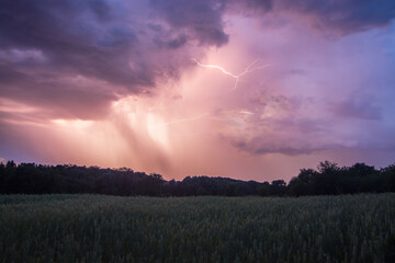 Obraz na płótnie Canvas Lightning storm over field in Ukraine