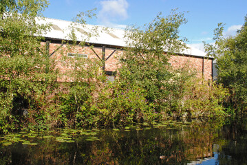 Fototapeta na wymiar Reflections in Waters of Overgrown Bank of Old Canal with Industrial Building and Blue Sky 