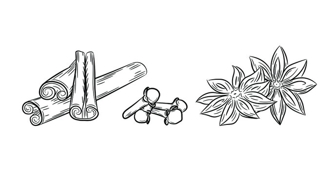 A selection of spices. Set of anise, cinnamon and cloves. Black line art in hand drawn doodle style. Isolated vector illustration.