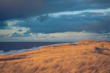 Wide dunes at the danish coast. High quality photo