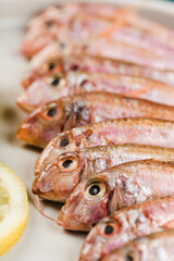 Some fresh Black Sea red mullet on a white plate with lemon slices.