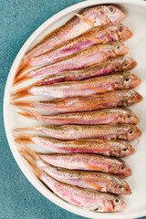 Several fresh Black Sea red mullets lie on a white plate on a blue background.
