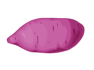 Purple sweet potato. Okinawa yam sweet potato. Healthy food concept.
