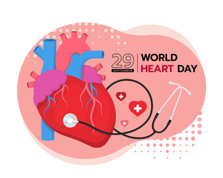 world hearth day - the human heart with stethoscope roll around on soft pink background vector design