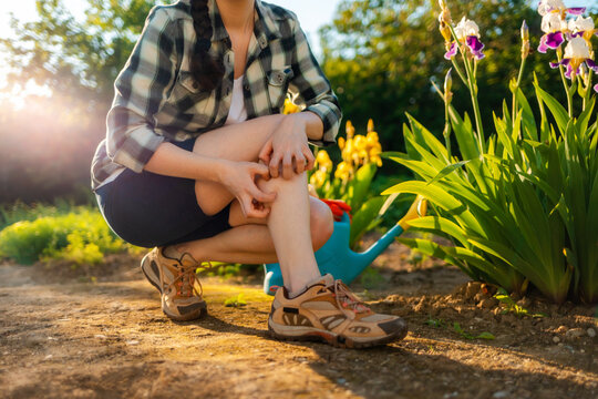 Summer season. Woman scratches her leg, which is itchy from a mosquito bite. Close up of legs. Outdoor. Allergies and insect bites concept