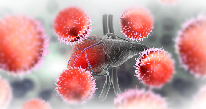 Hepatitis virus attack the liver. 3d illustration..