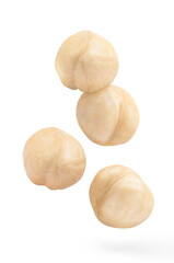 Flying purified hazelnuts, isolated on white background