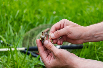 Close up Men's hands put bait on hook to fish with fishing rod. Lifestyle, recreation, leisure concept. Fisherman. Catching fish on the larva of the cockchafer.