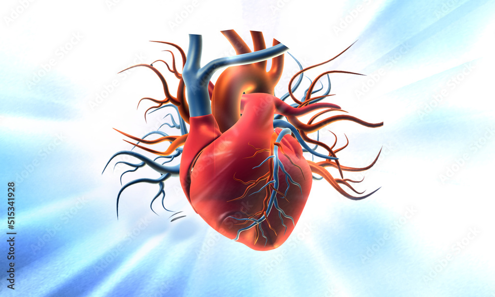 Wall mural Human heart blue background. 3d illustration..