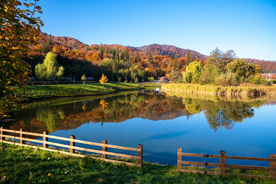 Landscape of the Noua lake and vegetation in autumn season in Brasov town, Romania