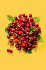 Cherry fruits pattern in a vibrant summer mood on bright yellow