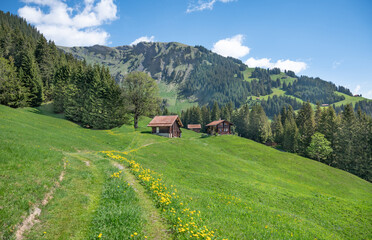 Hiking pass from Grindelwald to First mount, Switzerland.