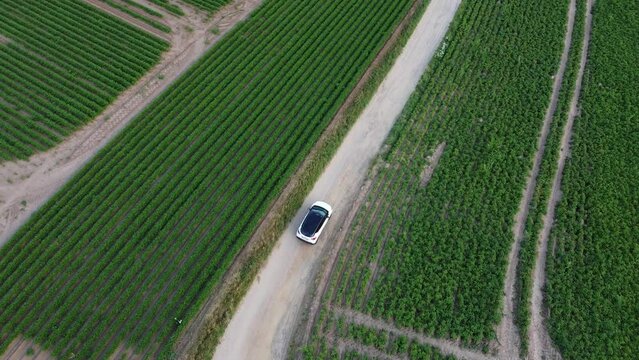 Car driving in the middle of the farm fields.