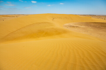 The sand dunes of the Moroccan sahara desert