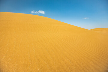 The sand dunes of the Moroccan sahara desert