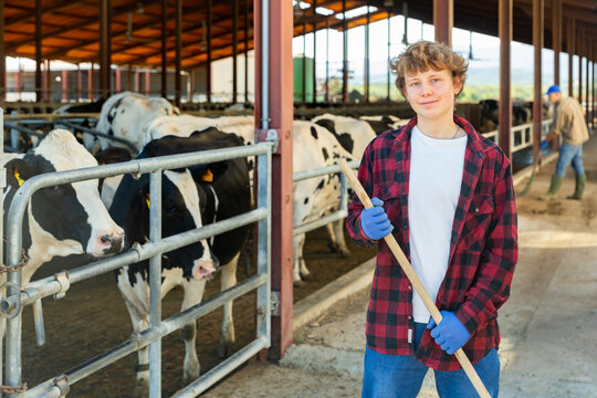 Young male milk farm worker standing in cowhouse with working tool in hands.