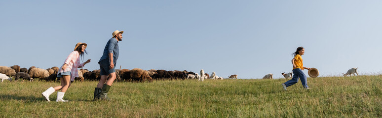 side view of happy family running near herd grazing in meadow, banner.