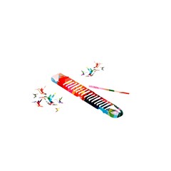 Fototapeta premium Reco-reco, Brazilian capoeira musical instrument, colorful with hummingbirds vector illustration