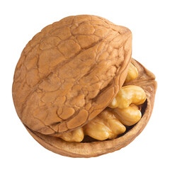 Open delicious walnut close-up, isolated on white background