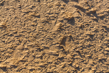 Coated sand in the middle of the Moroccan desert