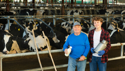 Smiling experienced elderly farmer posing with teenage grandson while working in cowshed at dairy...