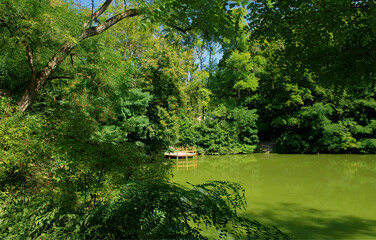 By the lake, beautiful view of nature panorama. Green park. Sunny day by the lake, Natural photo. Natural Immpresionism . Environmental concept. Bratislava,Slovakia.