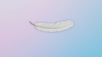 feather on gradient background