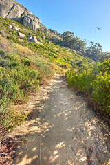 Hiking trail on Table Mountain National Park in Cape Town South Africa on a sunny day with blue sky. Scenic landscape with walking paths to explore in nature surrounded by green bushes and trees