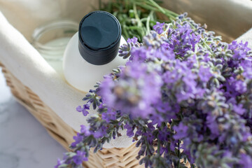 Shampoo bottle, aromatic candle and bunch of lavender flowers in wicker basket on white table...