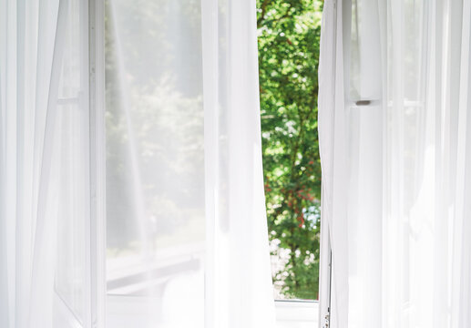 White tulle curtains on the window with view of green trees on background
