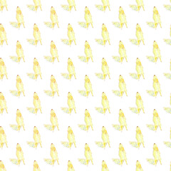 Obraz premium Watercolor seamless desert squirrel pattern